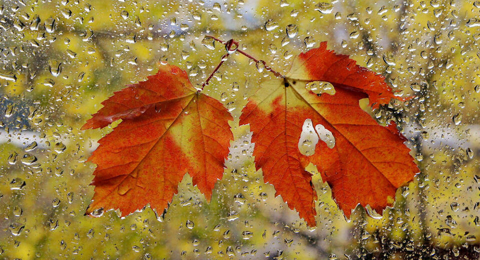 Осенняя погода